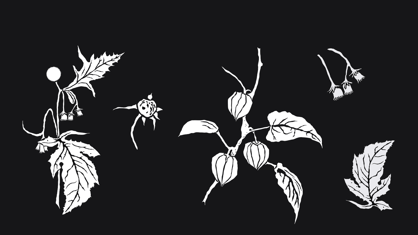 The Secret Apothecary - Contemporary And