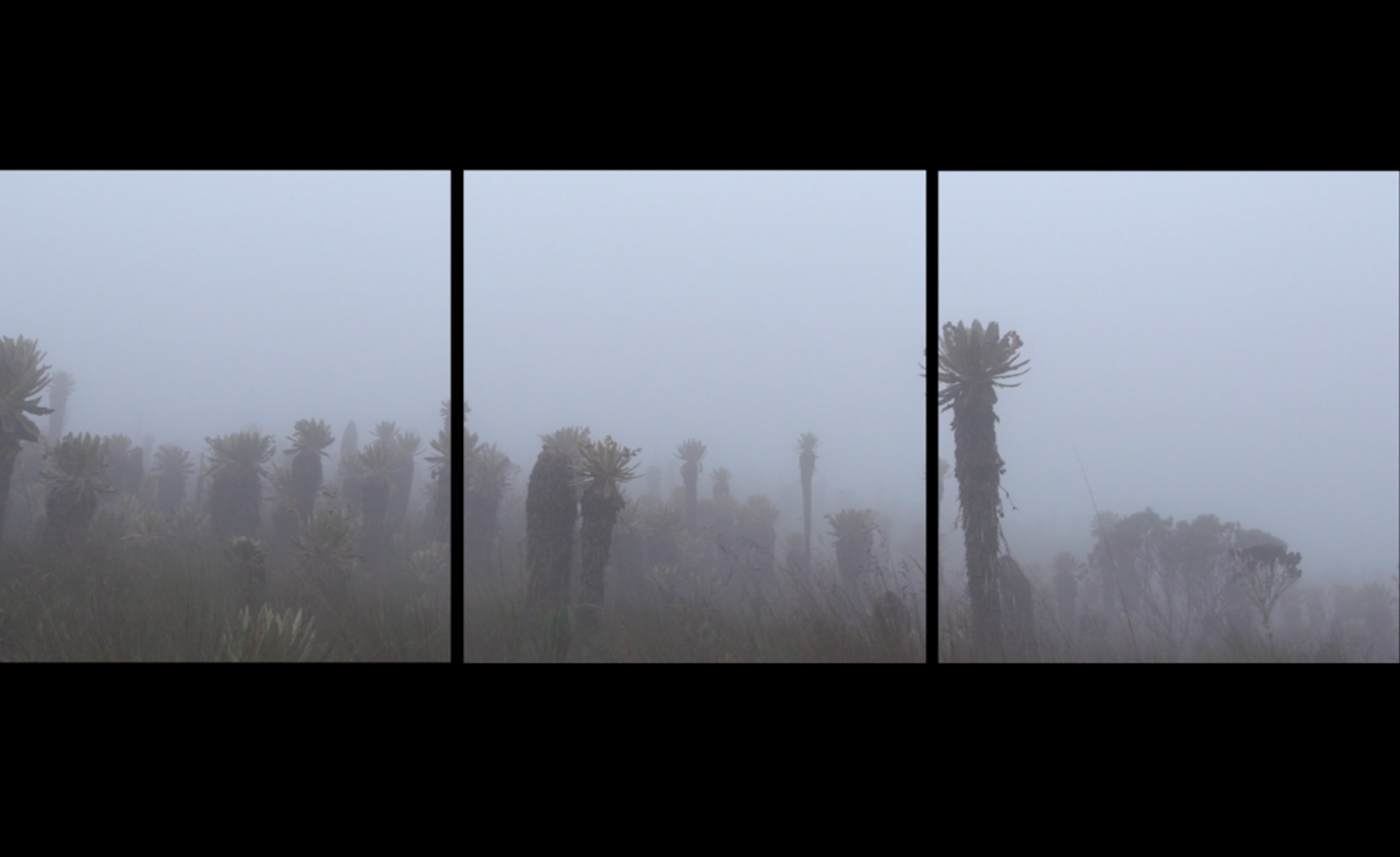 Simon Hernandez, La voz de la tierra, film, 2018. Courtesy of the gallery.