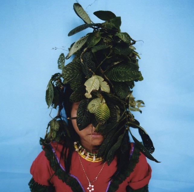 Karen Paulina Biswell, Jagua, 2015. Courtesy of the gallery.