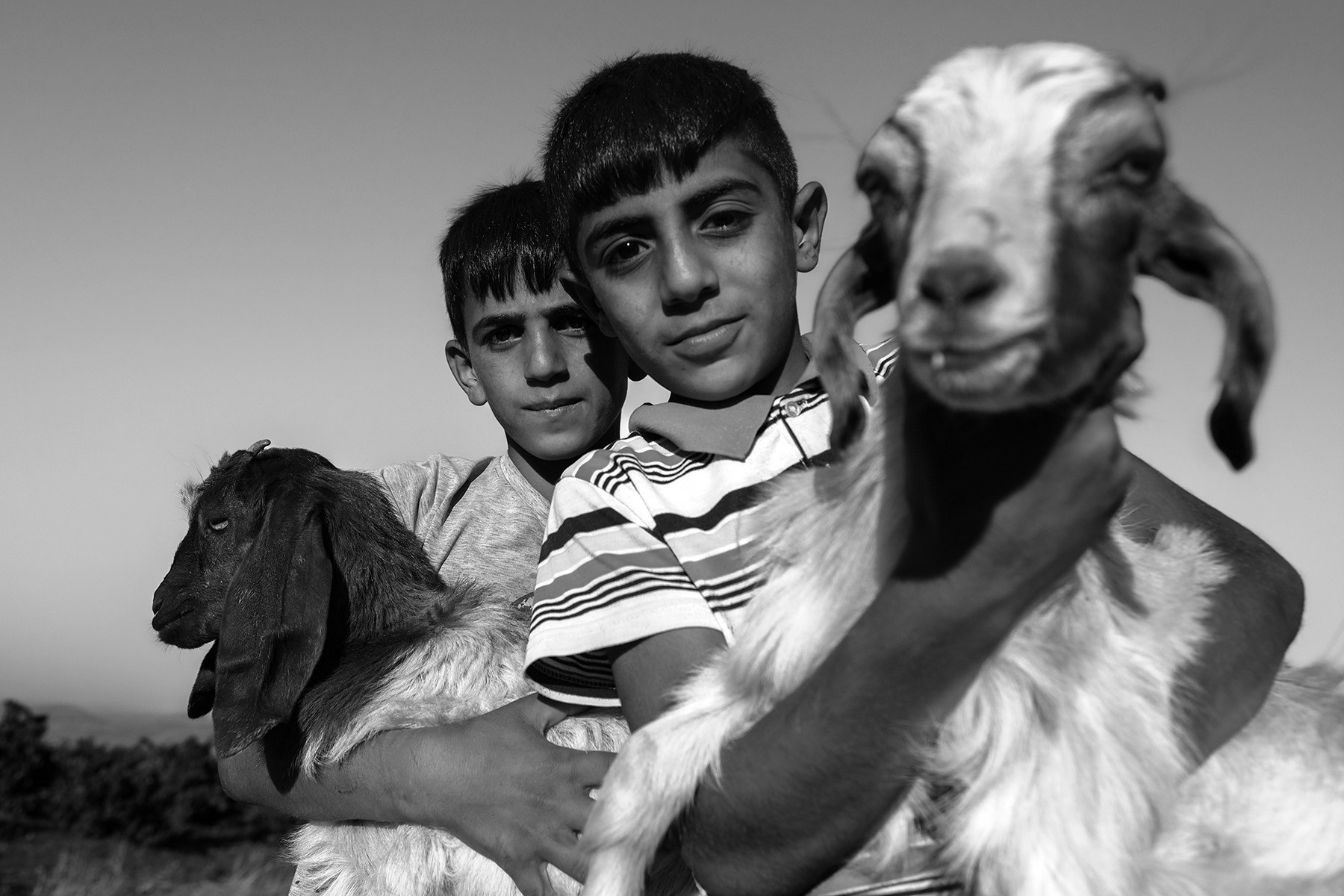Black and white photo of two boys, each holding a goat, looking at the camera.