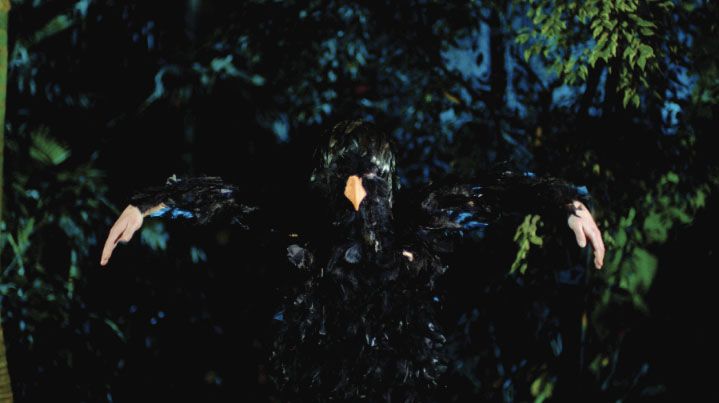 A Decolonial Atlas: Strategies in Contemporary Art of the Americas