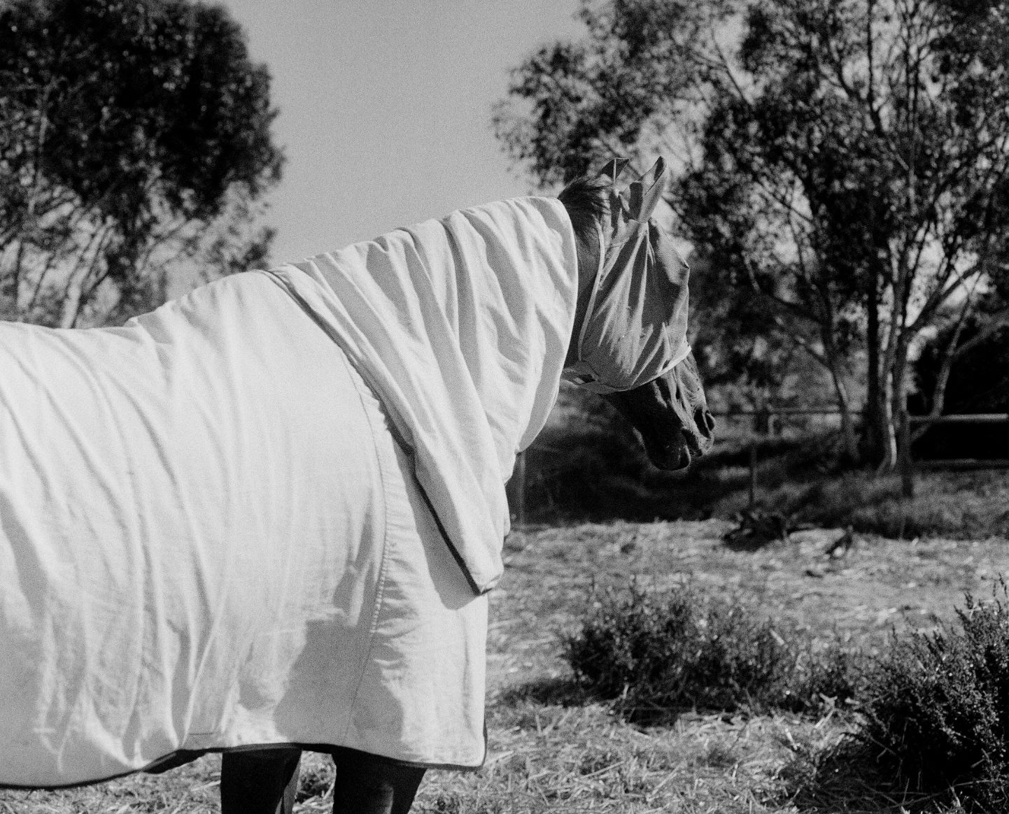 Jo Ractliffe: Signs of Life