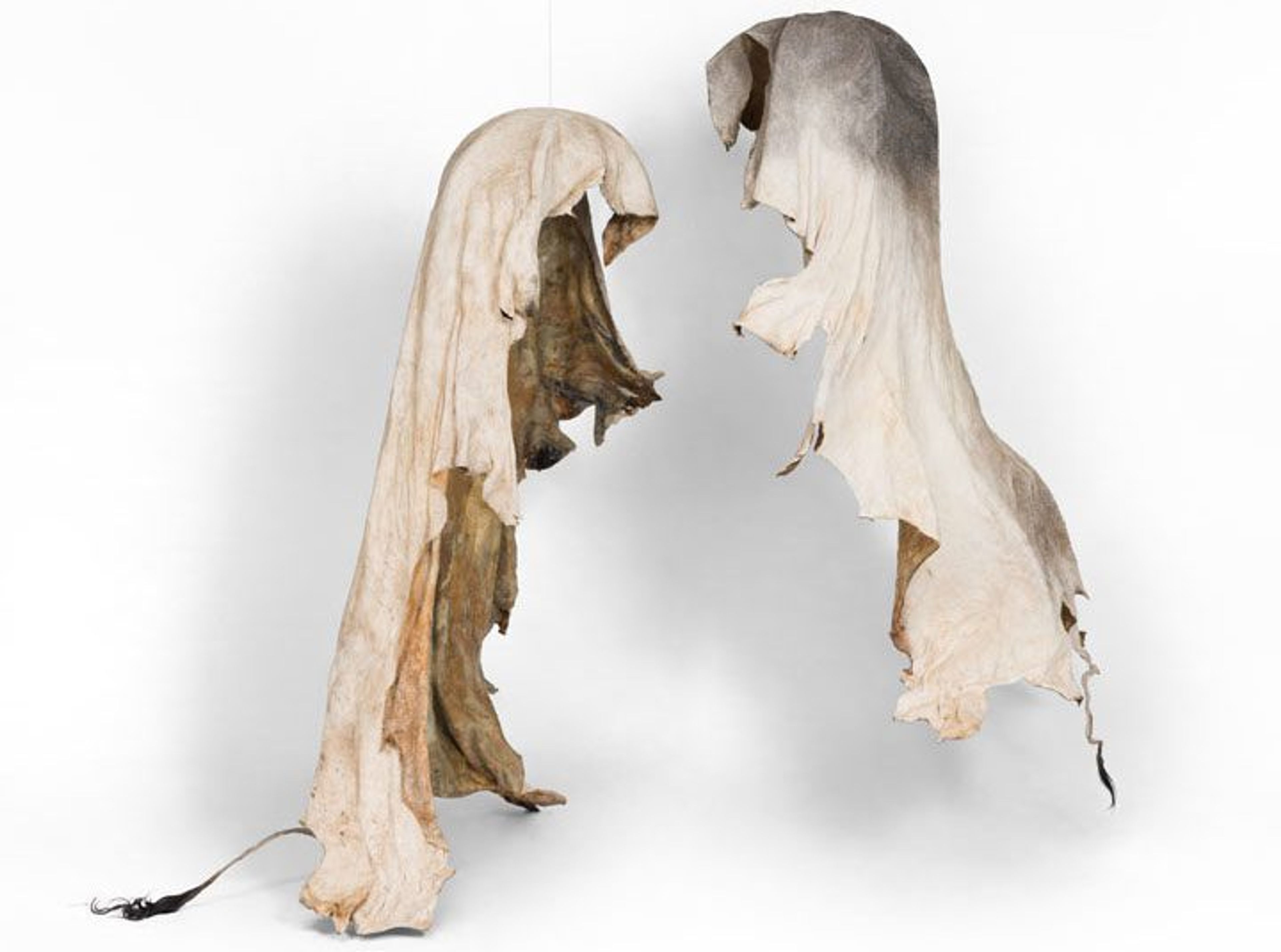 Nandipha Mntambo: Transience