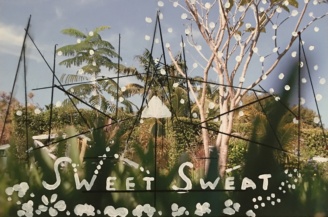 Nereida García Ferraz, Garden Series, 2004. Digital photography. Courtesy of Catálogo de fotógrafas cubanas.