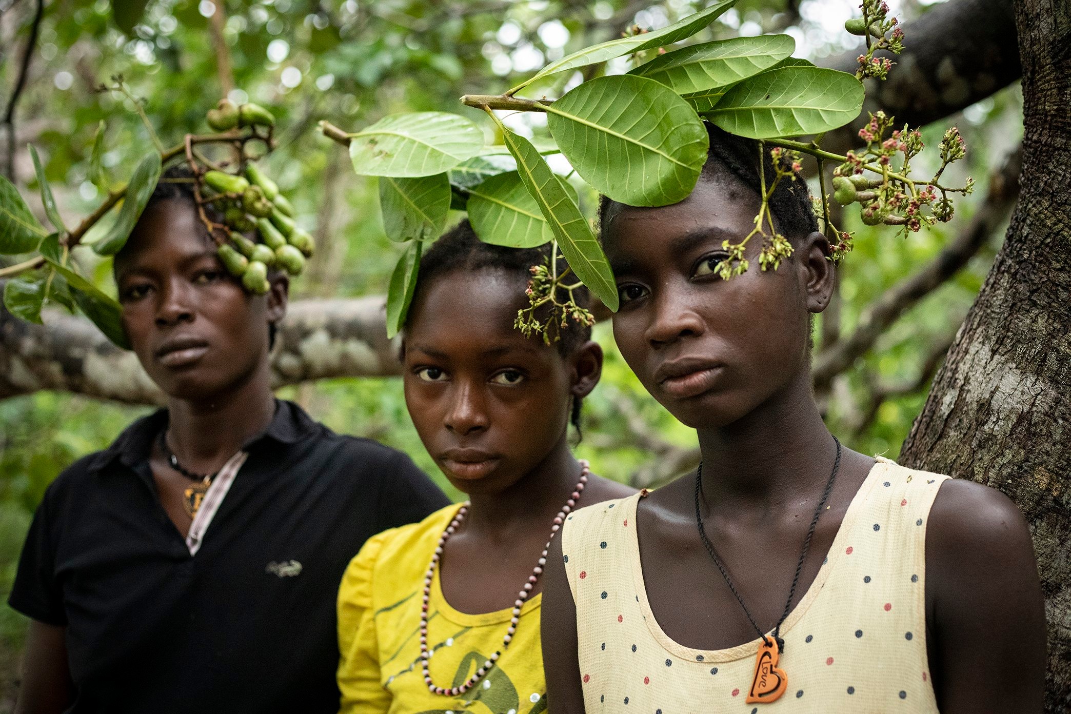 Three Black women and girls with serious expressions stand among cashew branches bearing green fruit.