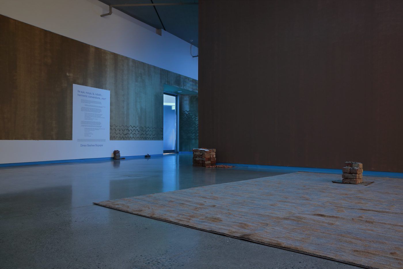 Dineo Seshee Bopape, Installation view. Courtesy of the artist and the Institute for Contemporary Art at VCU.