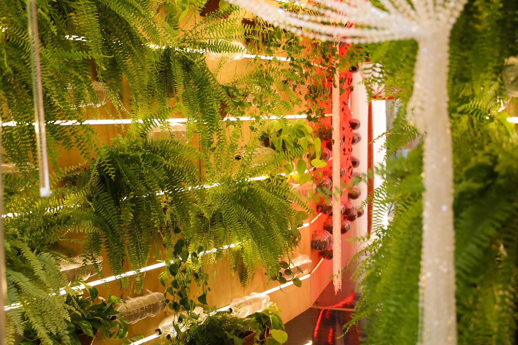 A vertical garden wall filled with lush ferns, horizontal lights, a red glowing column, and a white decorative column.