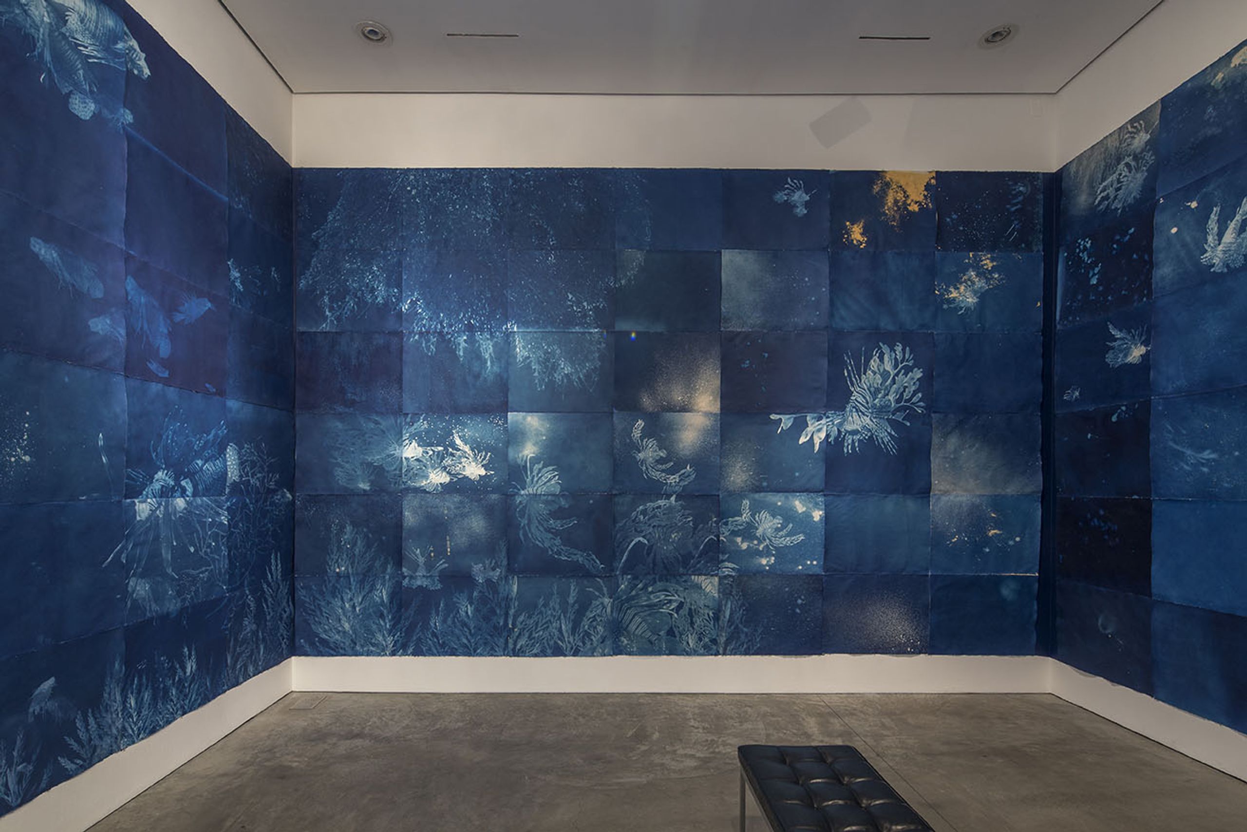 You Broke the Ocean in Half to Be Here, Installation view, 2017. Courtesy of the artist.