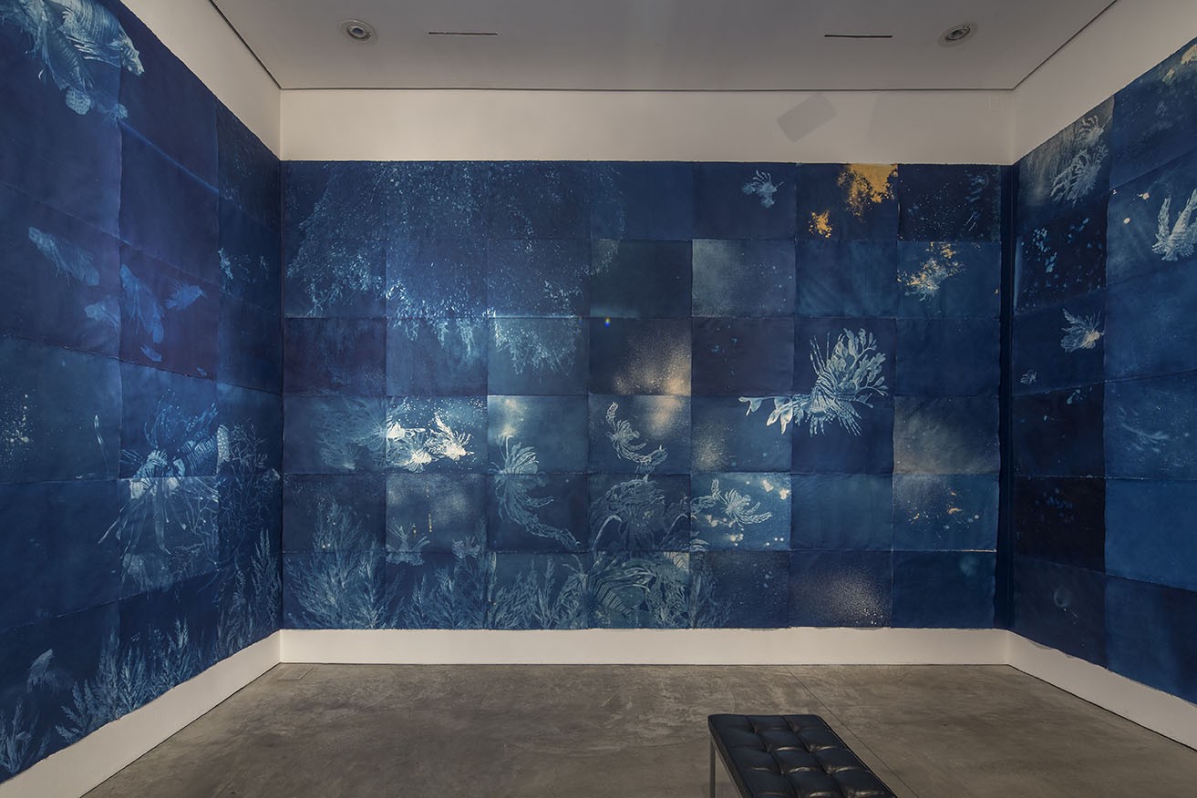 You Broke the Ocean in Half to Be Here, Installation view, 2017. Courtesy of the artist.