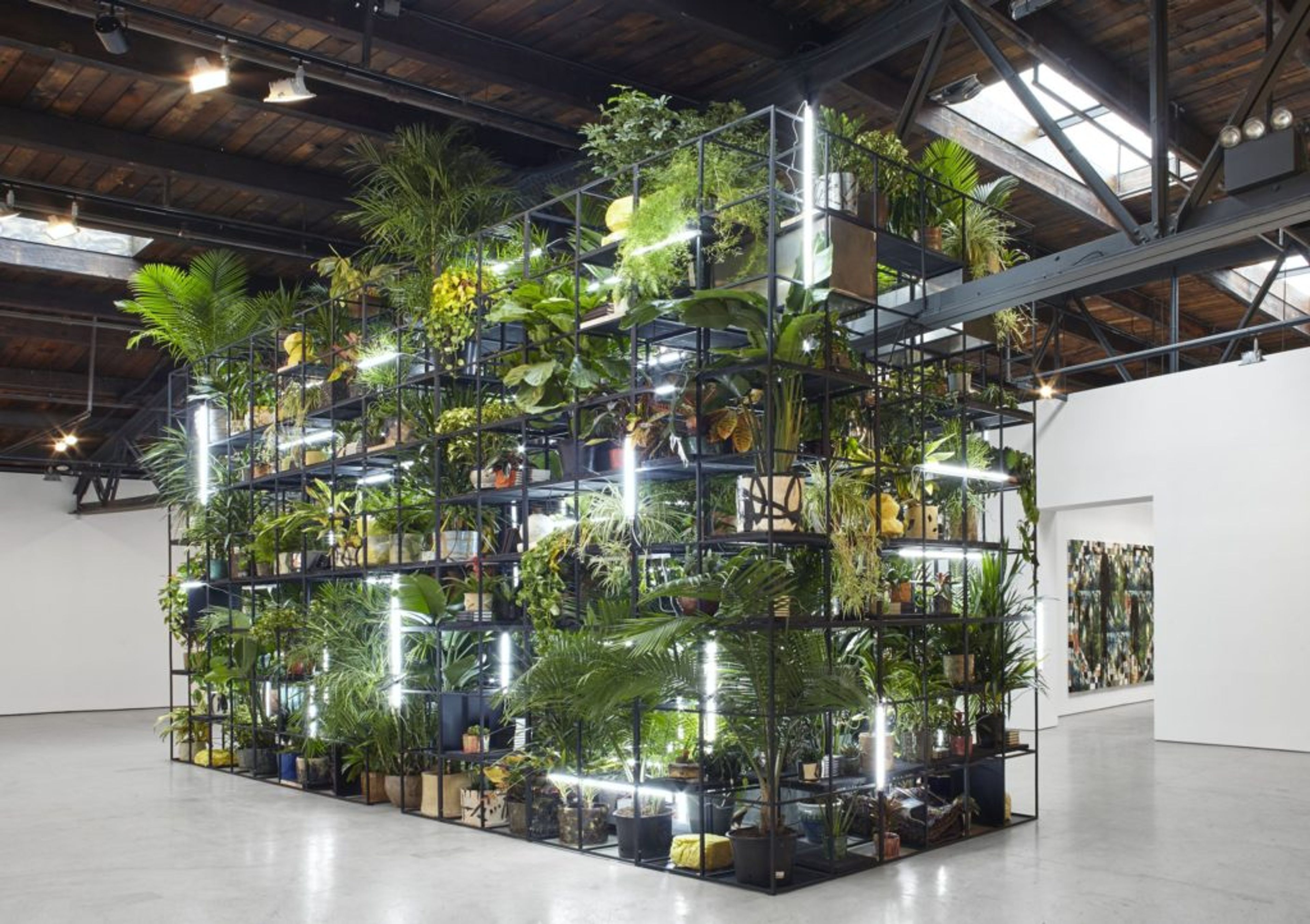 Rashid Johnson : Fly Away
