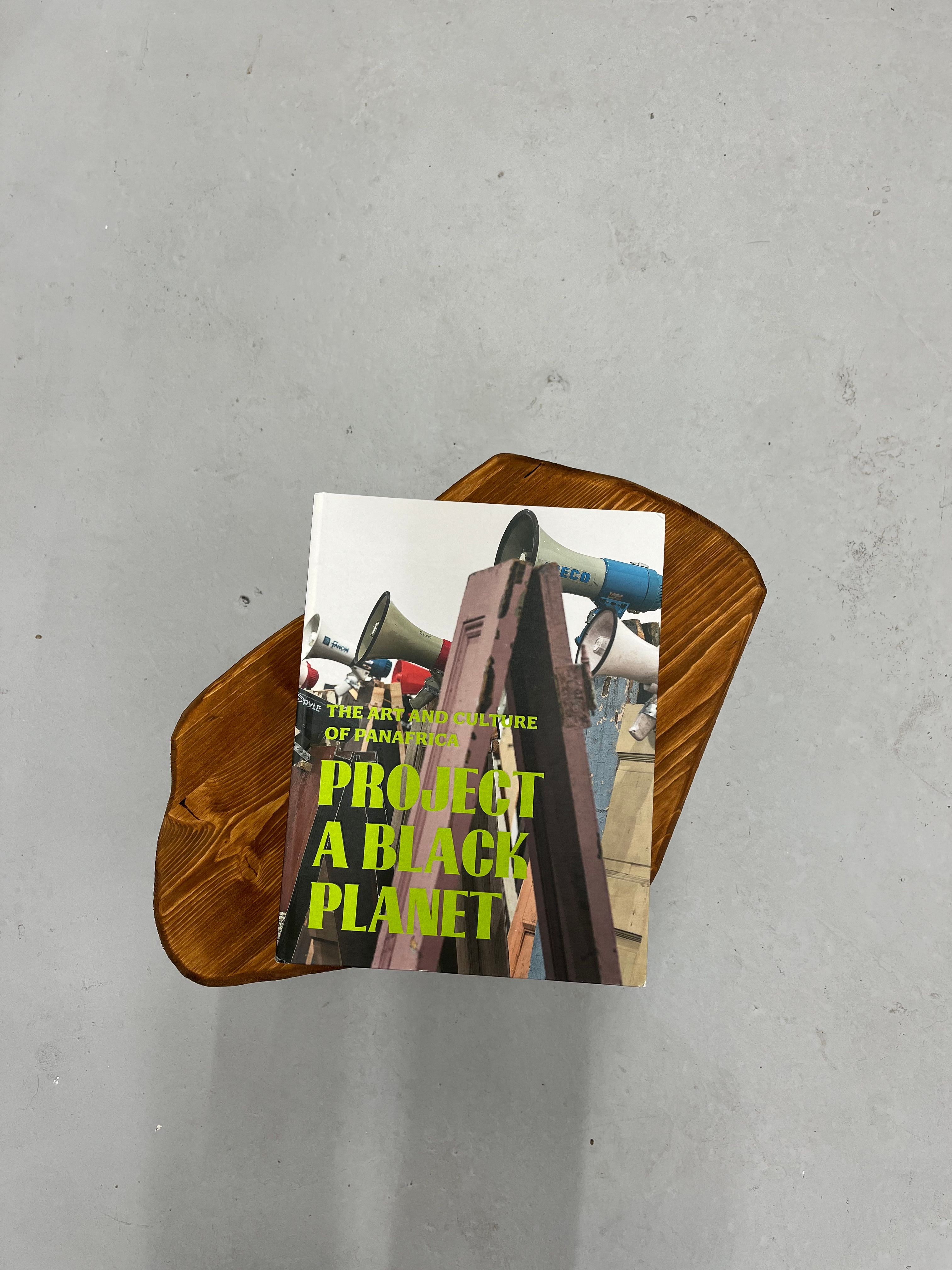 A book titled 'PROJECT A BLACK PLANET' with megaphones on its cover, rests on an irregular dark wood piece against a gray background.