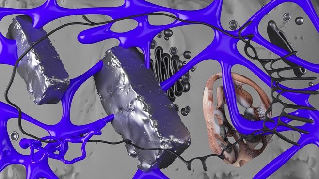 “Fluid Rhythms”—Summer School, LAB and Seminar