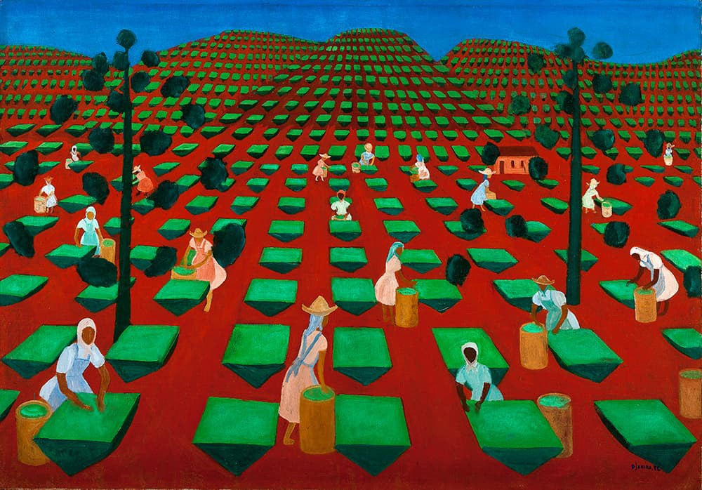 Djanira, Tea Farm in Itacolomi, 1958. Oil on canvas. Gilberto Chateaubriand Collection, MAM Rio. Photo: Fábio Souza/MAM Rio