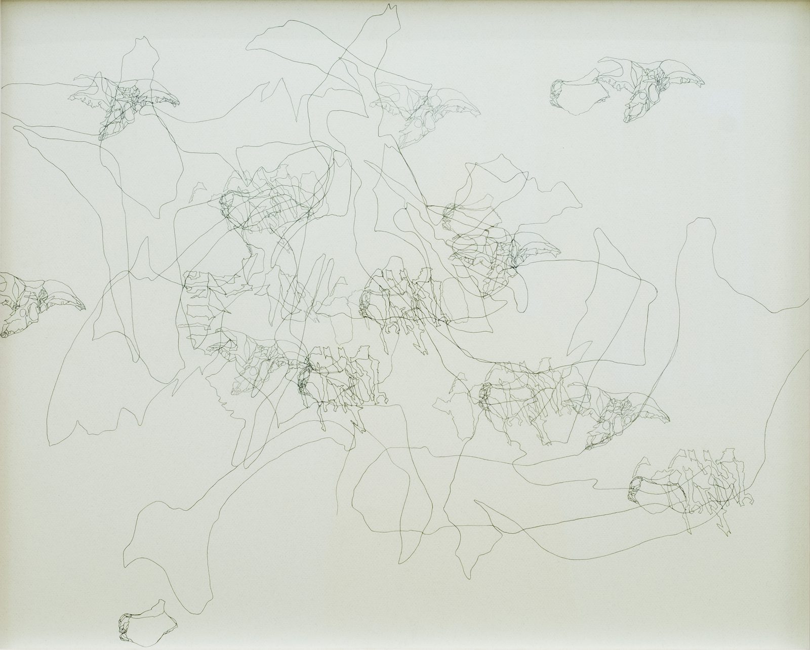 Remnants of Enchantment: Doa Aly & Islam Zaher