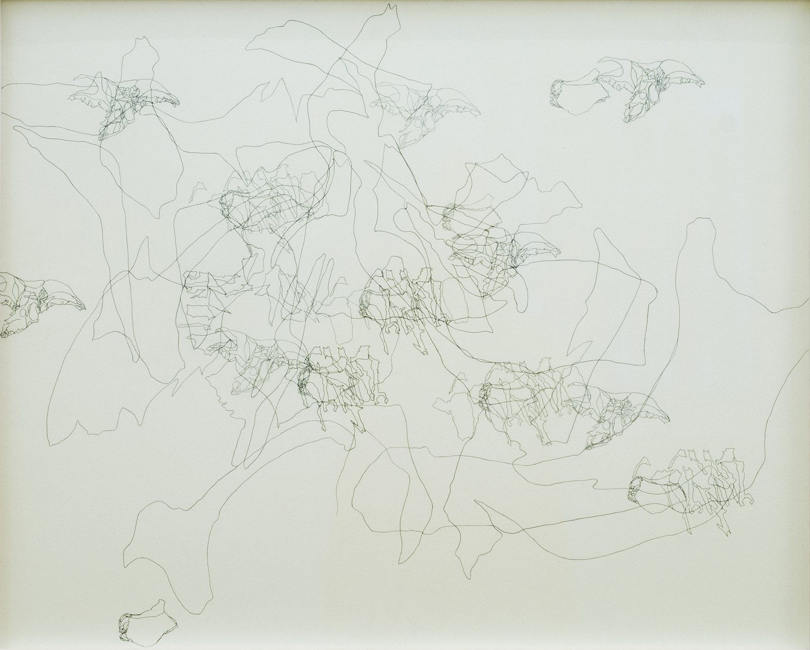 Remnants of Enchantment: Doa Aly & Islam Zaher