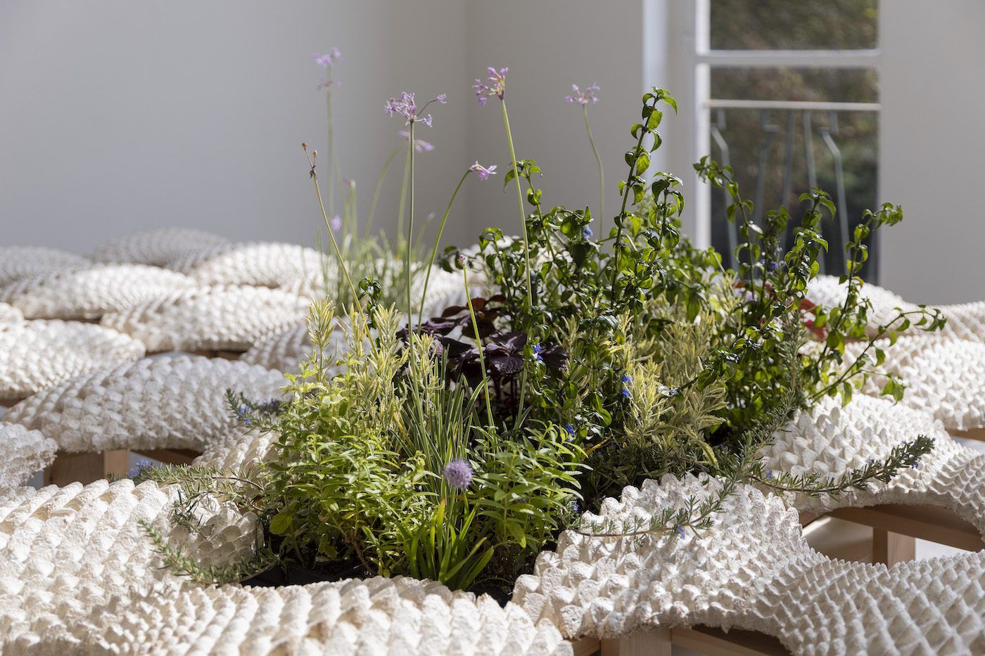 Changing Perspectives on Waste - Contemporary And