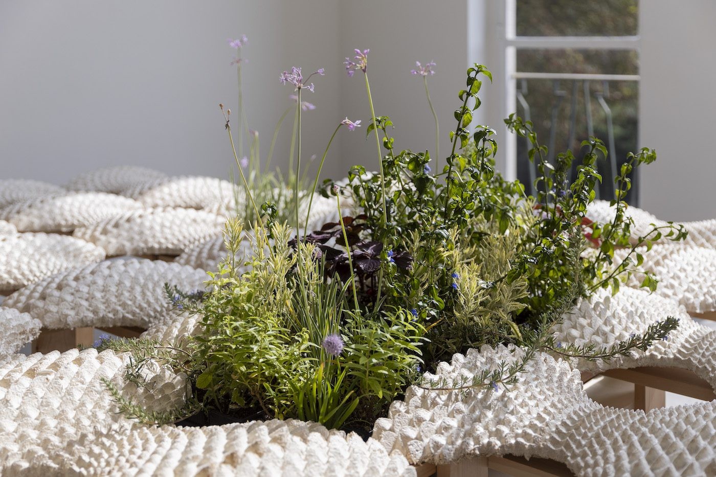 Changing Perspectives on Waste - Contemporary And