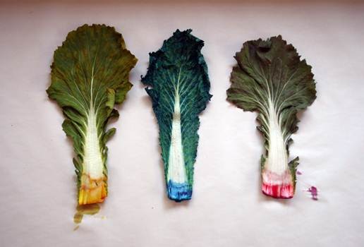 Aiming for the Stars - Contemporary And