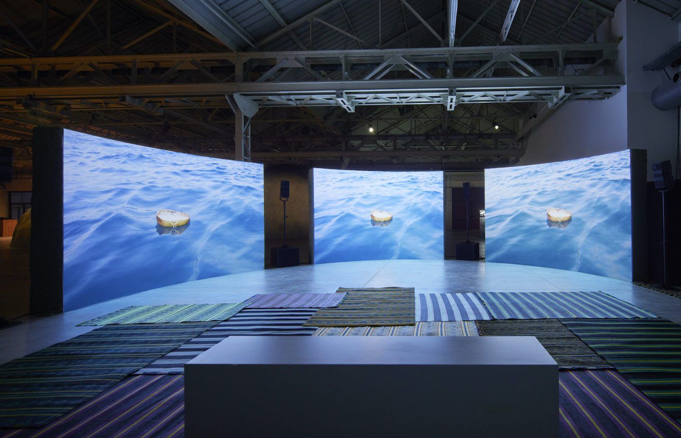 Projects: Dineo Seshee Bopape