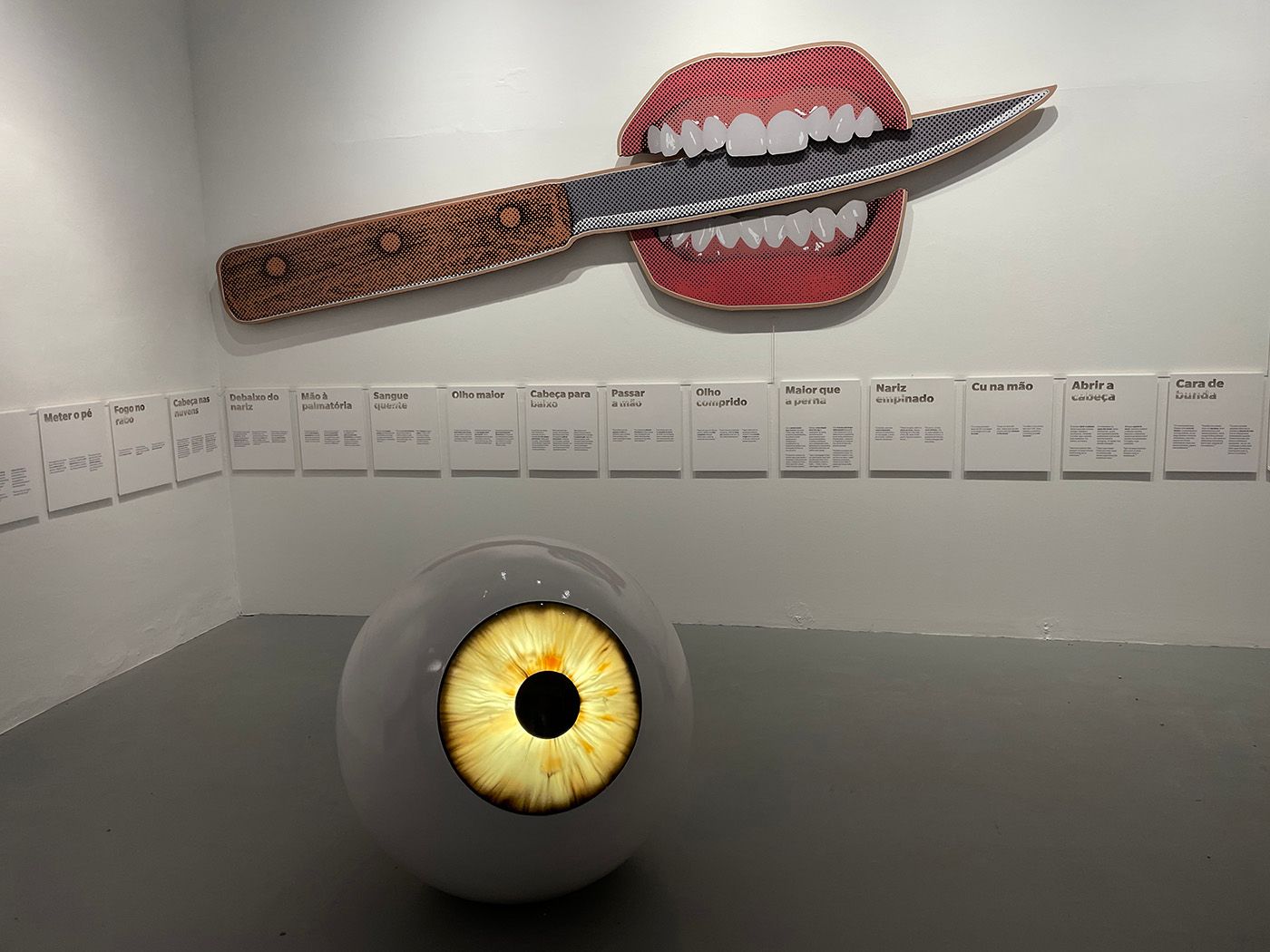 Exhibition view of With the heart coming out of the mouth at the 2022 Brazilian Pavilion.