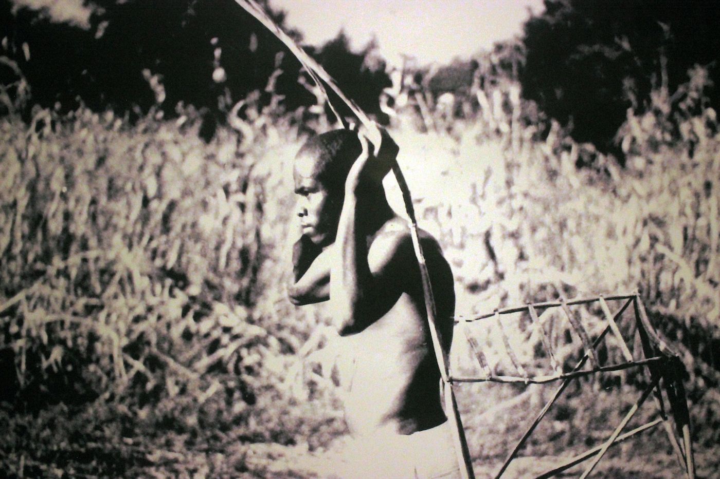 Diego Luis Mañunga Balanta, detail of Cuerpo con historia, 2021