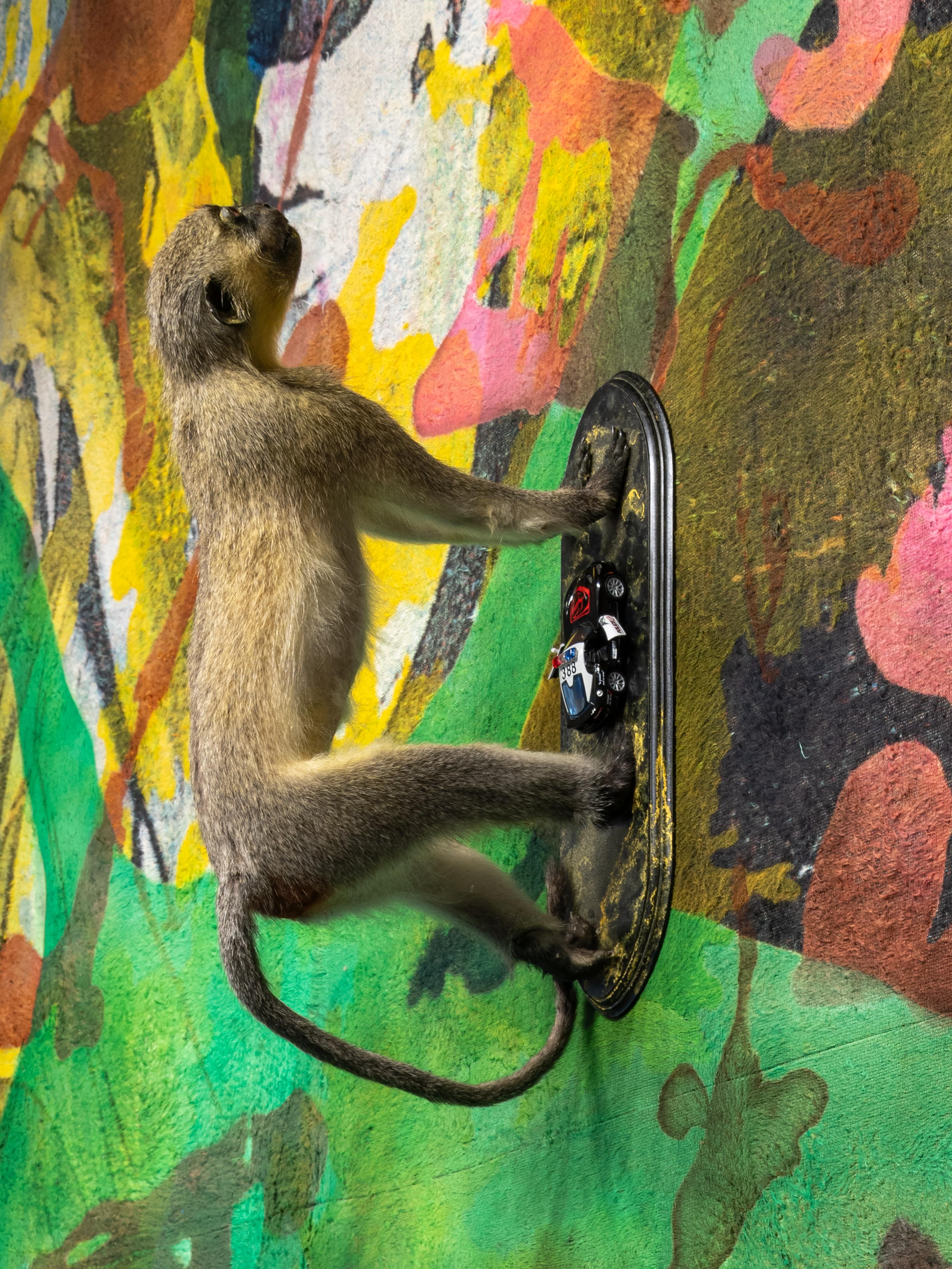 A taxidermied monkey clings to a black plaque displaying two toy cars, set against a vibrant, abstract painted wall.