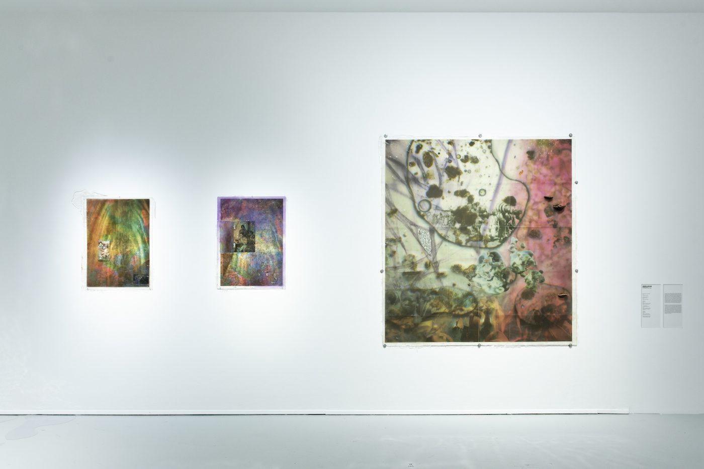 Josefa Ntjam. Simulacre, 2022, print on rice paper, resin, polypores, glass, fiberglass; Is the mix OK for you?, 2022, print on LAMALI rice paper, resin, dye, dried flowers, rice husks; Négritudes, 2022, print on LAMALI paper, resin, flower petals, rice husks. Courtesy of the artist and NICOLETTI Contemporary Gallery, London. © ADAGP, Paris 2022. View of the exhibition Globalisto. A Philosophy in Flux at the Musée d’art moderne et contemporain de Saint-Étienne Métropole, from June 25th to October 16th, 2022. Crédit photo : C. Cauvet / MAMC+