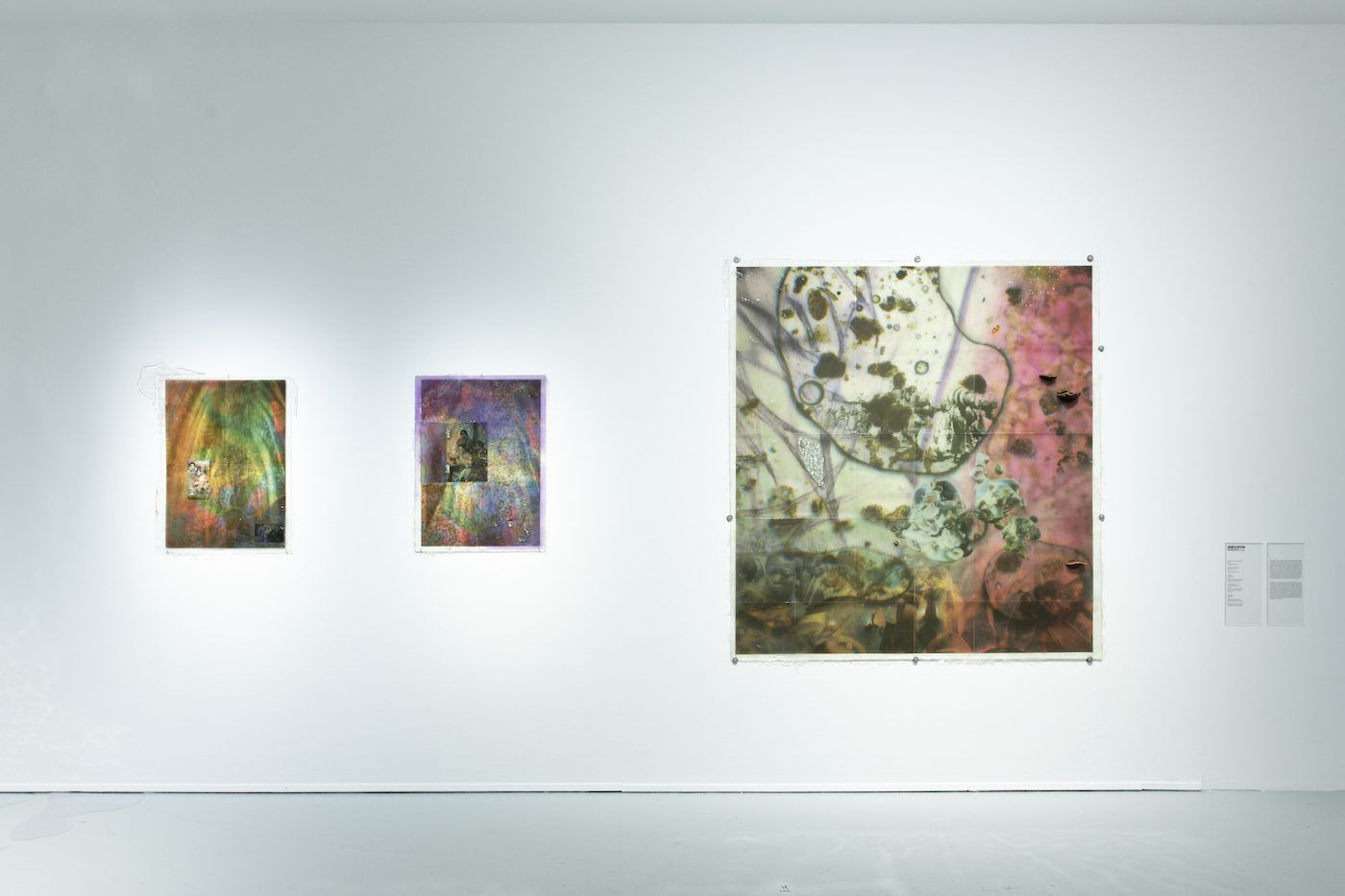 Josefa Ntjam. Simulacre, 2022, print on rice paper, resin, polypores, glass, fiberglass; Is the mix OK for you?, 2022, print on LAMALI rice paper, resin, dye, dried flowers, rice husks; Négritudes, 2022, print on LAMALI paper, resin, flower petals, rice husks. Courtesy of the artist and NICOLETTI Contemporary Gallery, London. © ADAGP, Paris 2022. View of the exhibition Globalisto. A Philosophy in Flux at the Musée d’art moderne et contemporain de Saint-Étienne Métropole, from June 25th to October 16th, 2022. Crédit photo : C. Cauvet / MAMC+