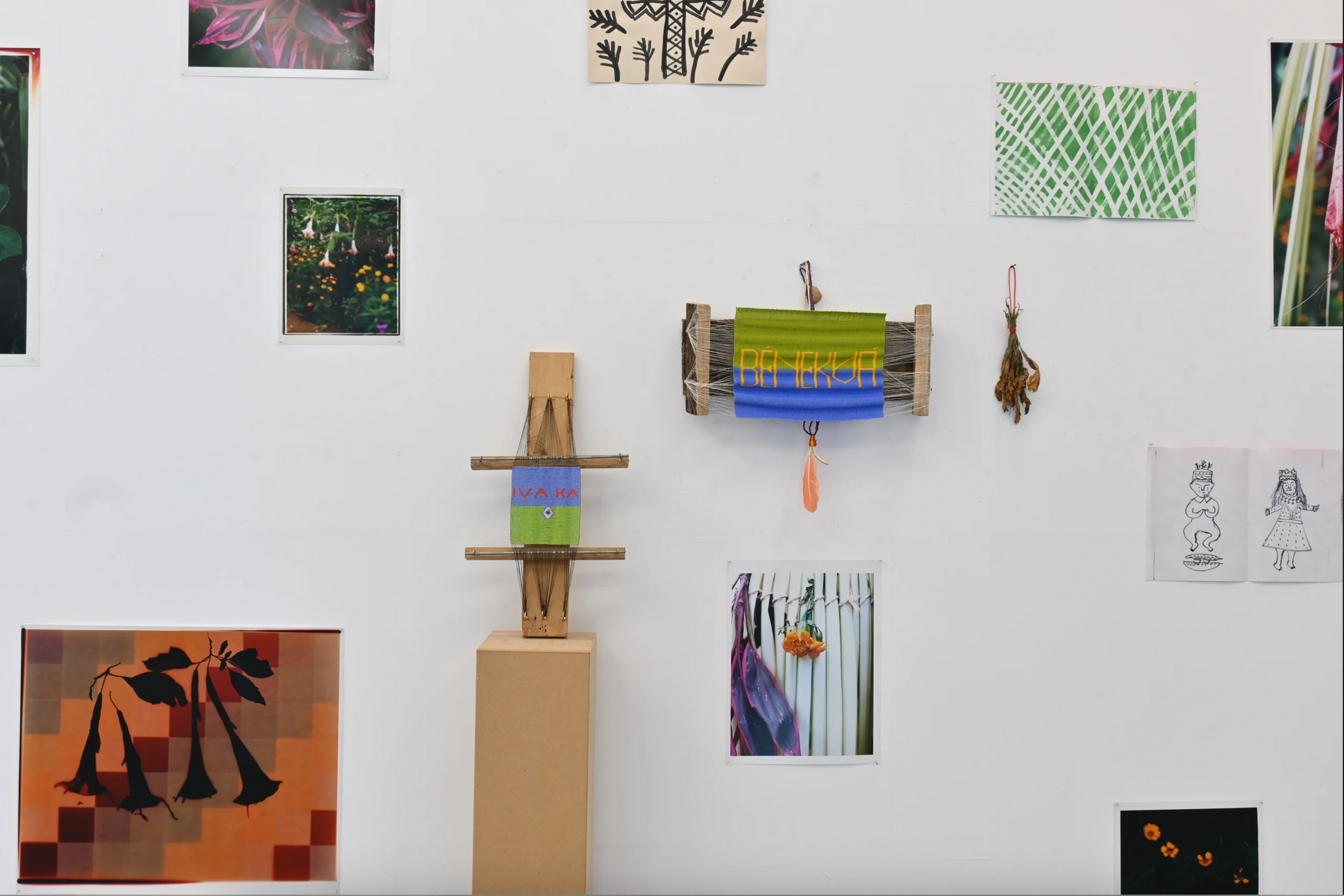 Kima (Emberá for “union/love”)