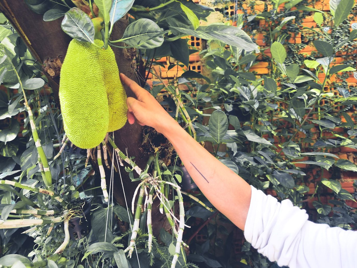 Contemporary And (C&) in Conversation with lumbung Members and Publishers