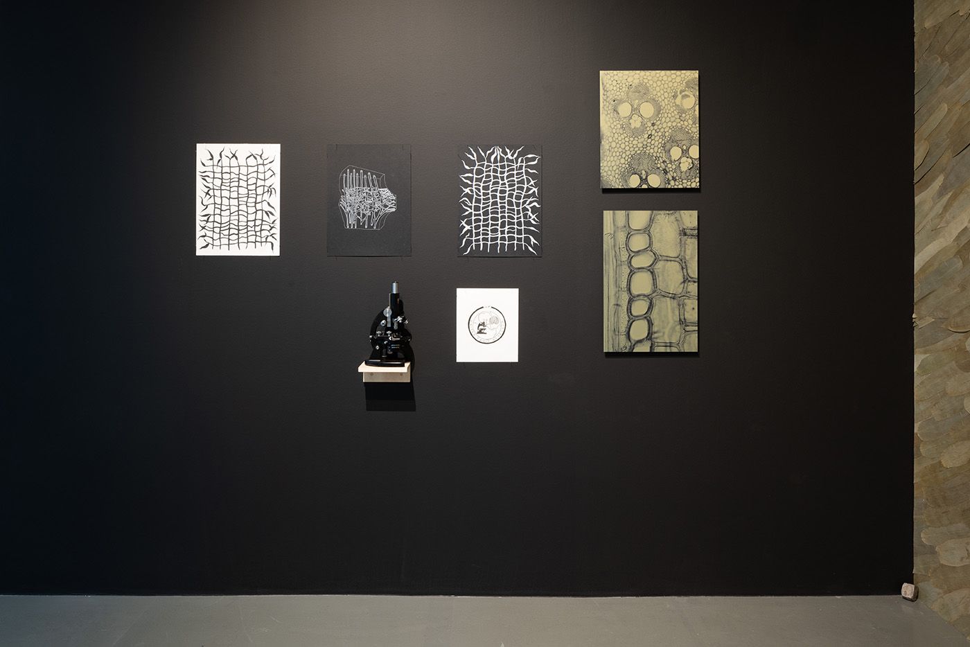 Esvin Alarcón Lam, Exhibition view of Intituve Porosity, daadgalerie, 2025. Photo: Thomas Bruns. Courtesy of DAAD.