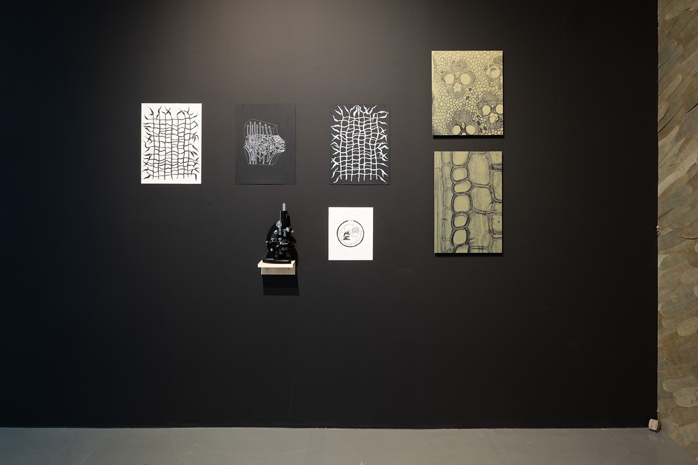 Esvin Alarcón Lam, Exhibition view of Intituve Porosity, daadgalerie, 2025. Photo: Thomas Bruns. Courtesy of DAAD.