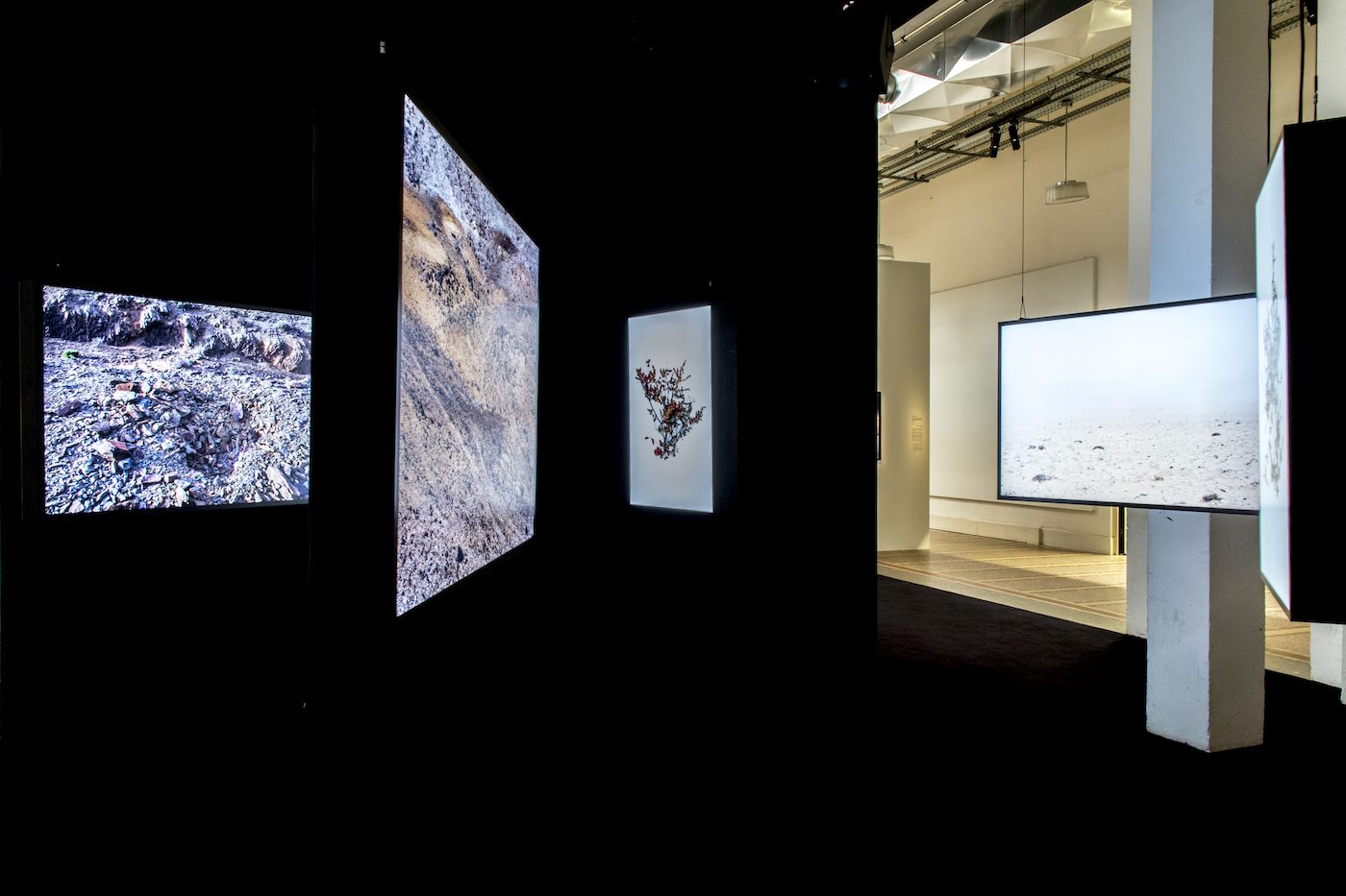 Installation View “Ce qui s’oublie et ce qui reste (What is forgotten and what remains)” from 9 Mar to 11 June 2021 at Palais de la Porte Dorée, Paris.