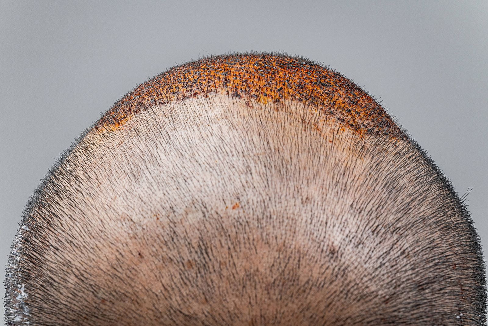 The Entanglement of Migration, Indigenous Peoples, and Colonialism