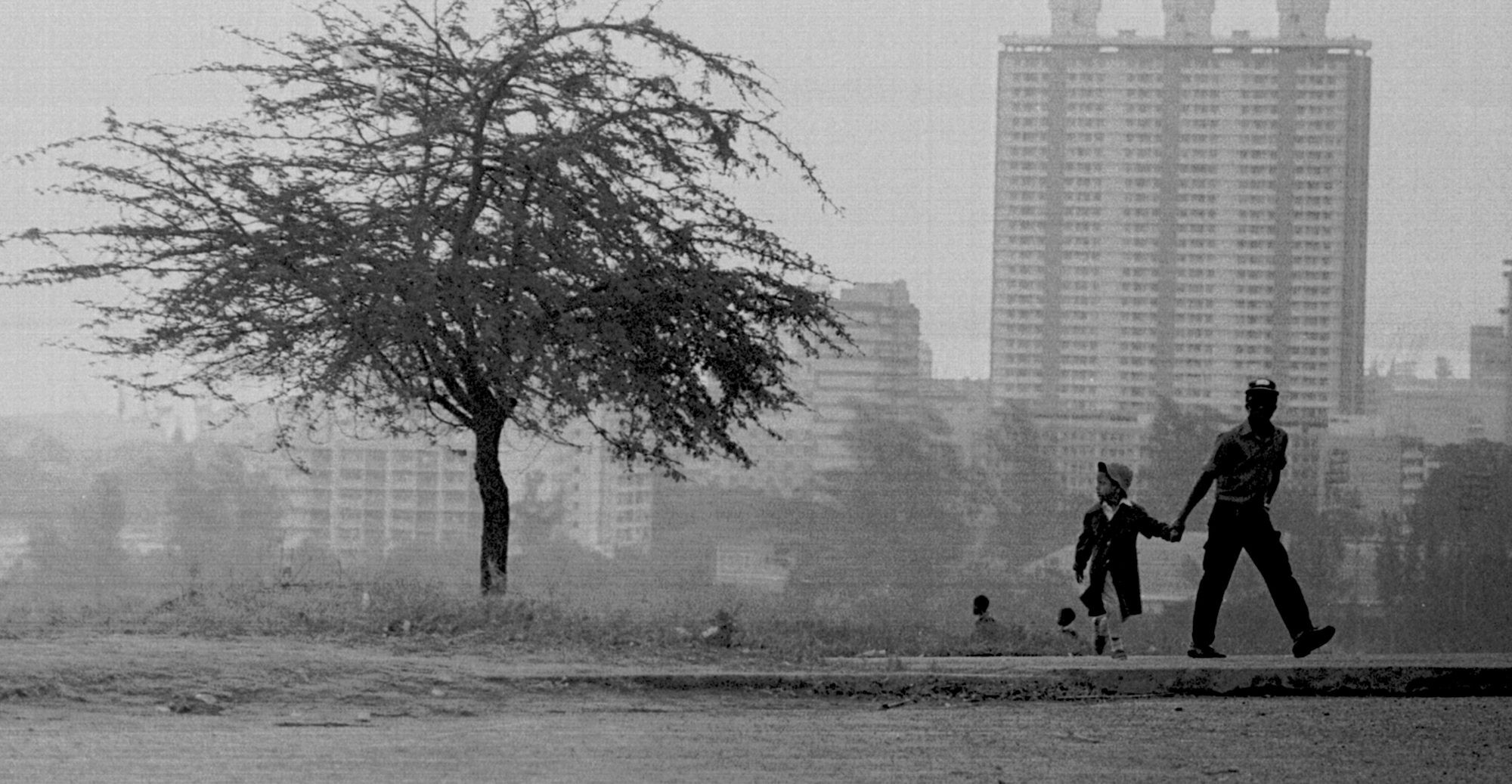 Afro-Lusophone Artists Grapple with Memory in New Book - Contemporary And