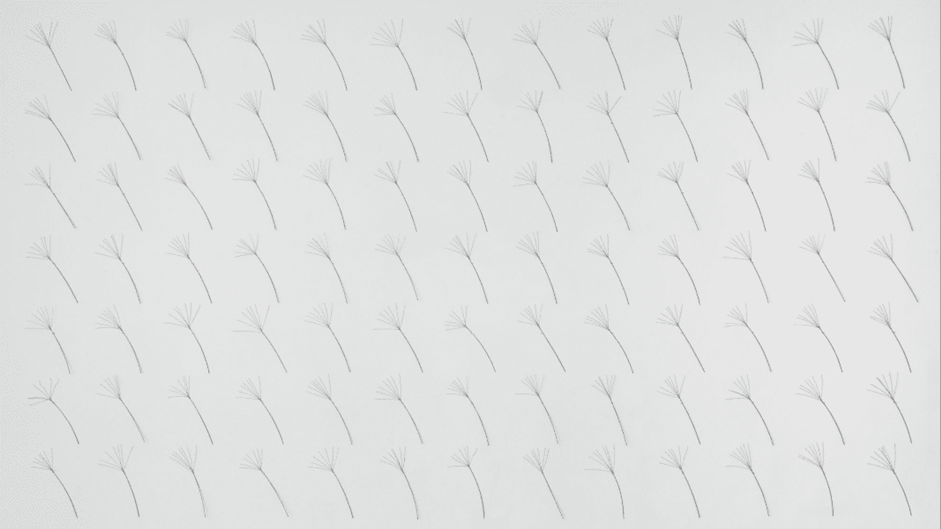 Maren Hassinger: Passing Through