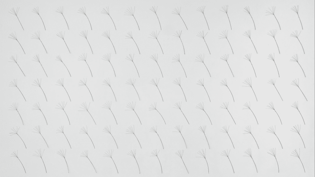 Maren Hassinger: Passing Through