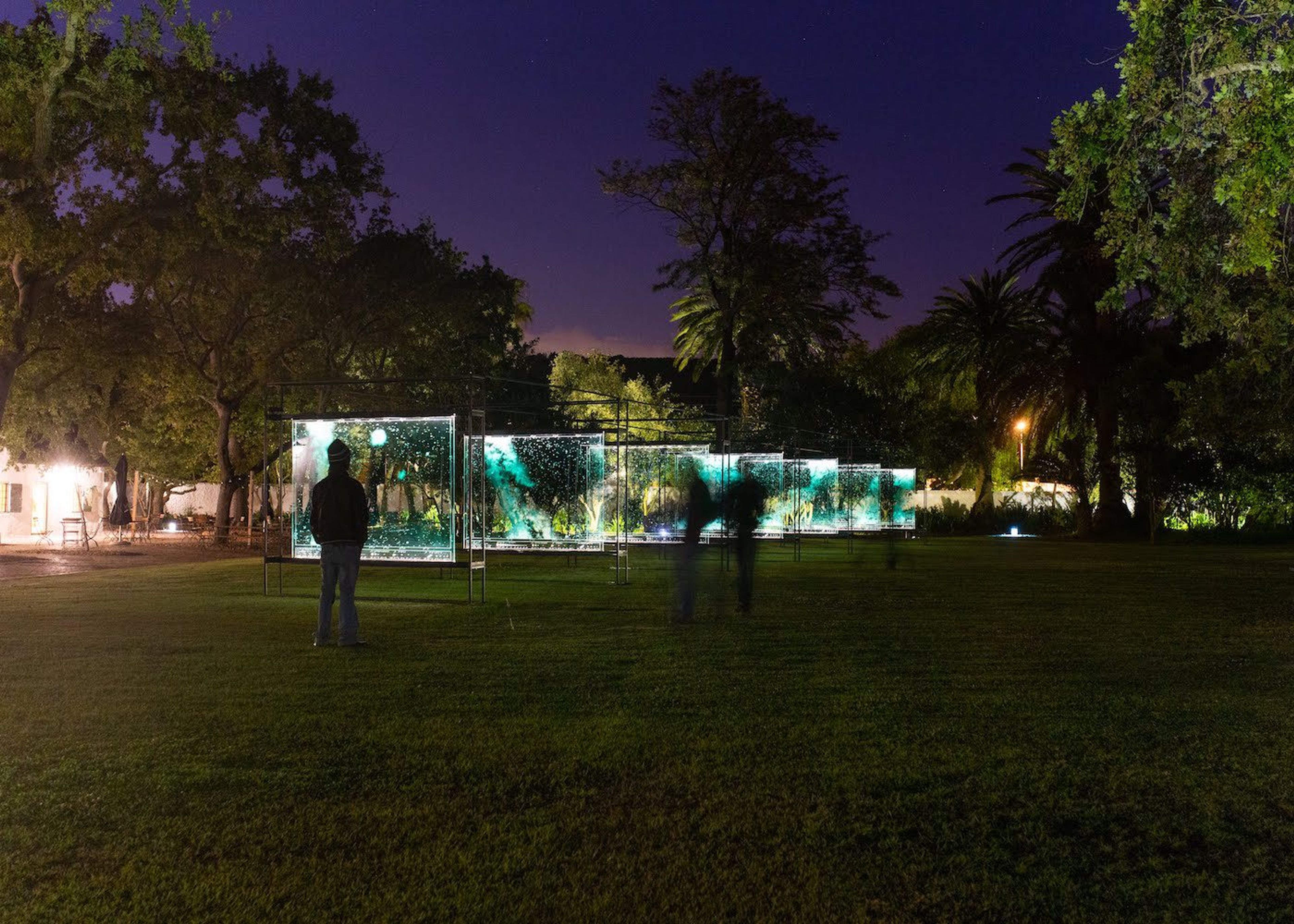 Spier Light Art Festival 2019