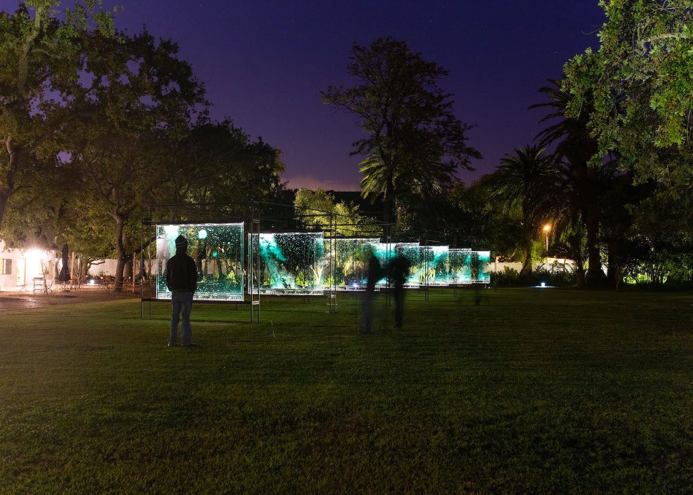 Spier Light Art Festival 2019