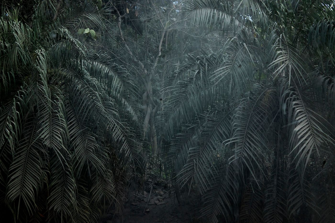 Nadia Huggins, Ashfall (Caída de ceniza), Byera, April 17, 2021. Courtesy of the artist.