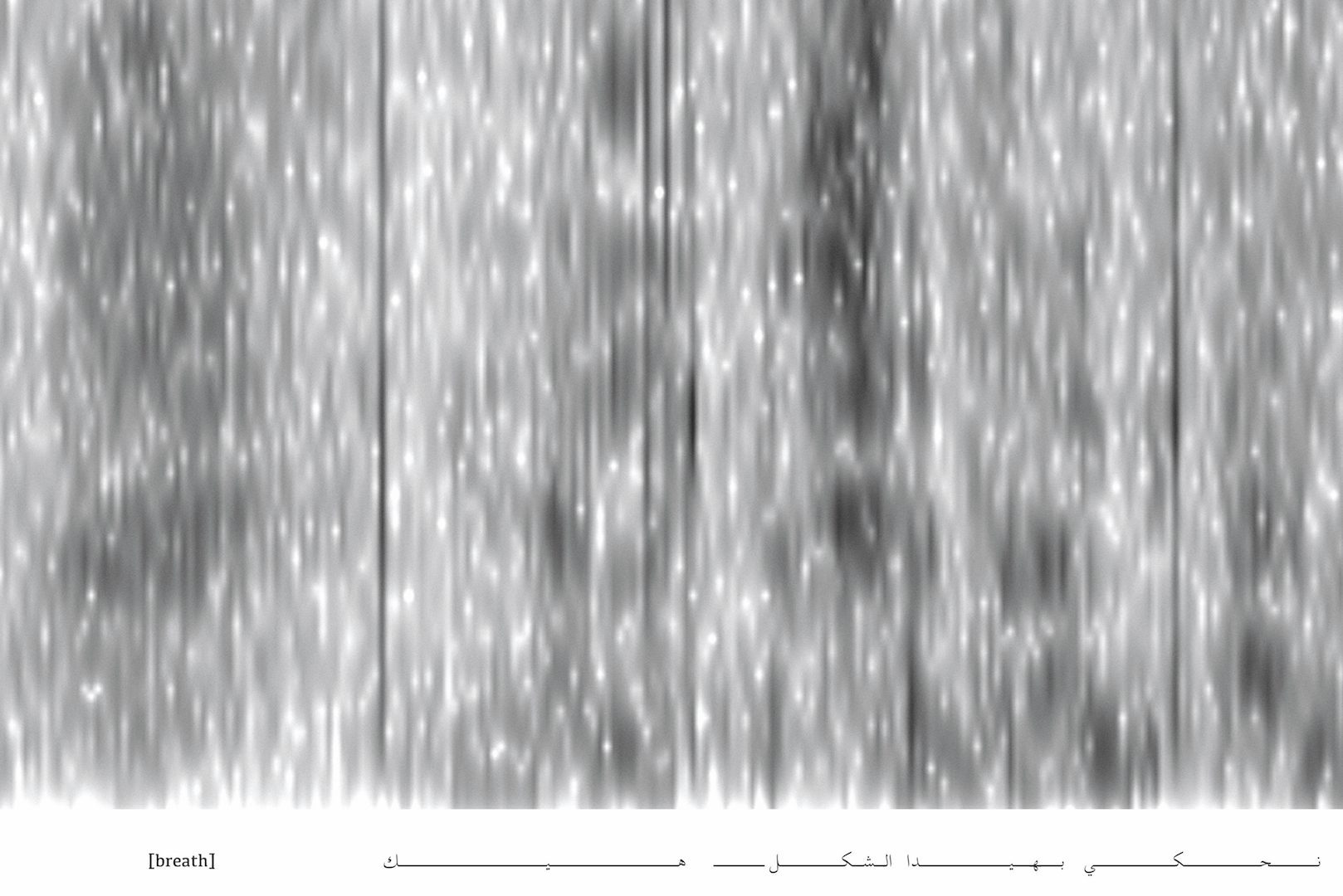 Lawrence Abu Hamdan: Earwitness Theatre