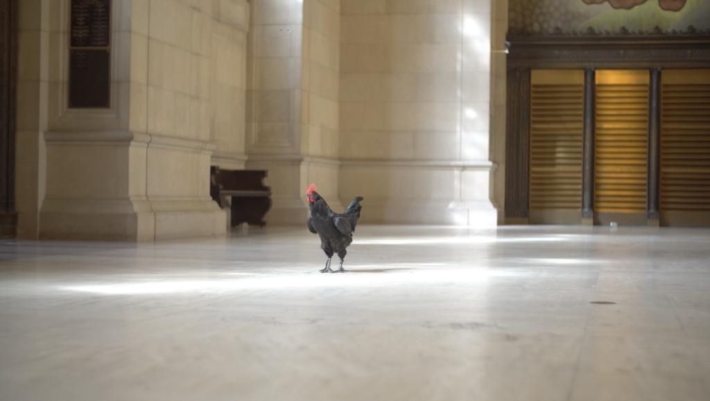 Show me your Shelves!