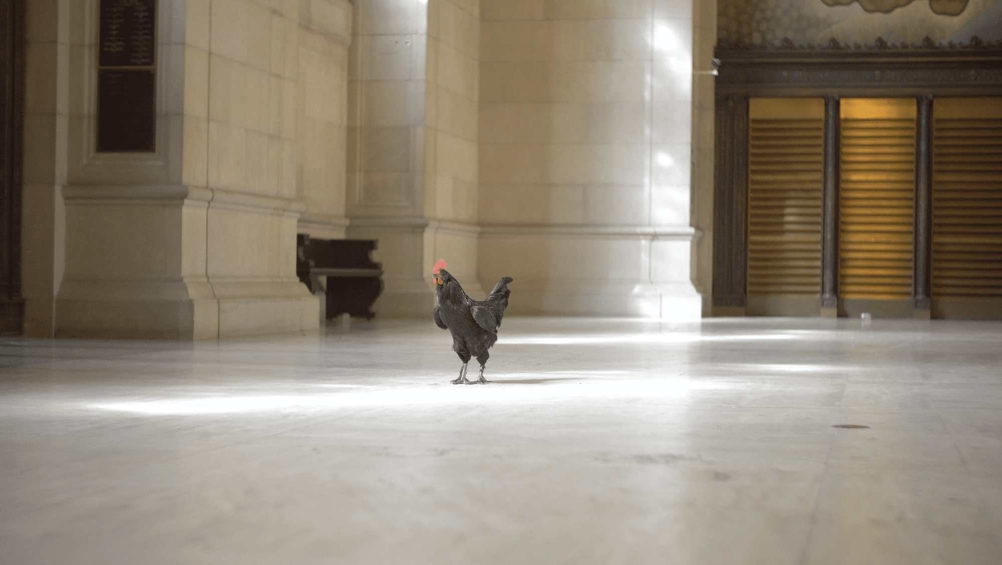 “SHOW ME YOUR SHELVES!” presented by C&