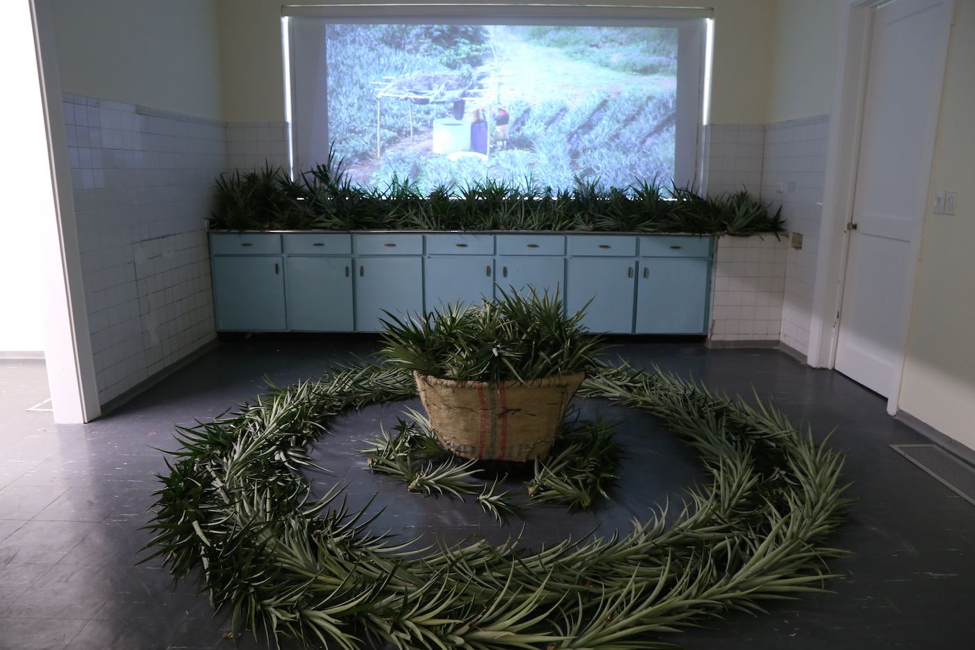 Reimagining the Colombian Pacific