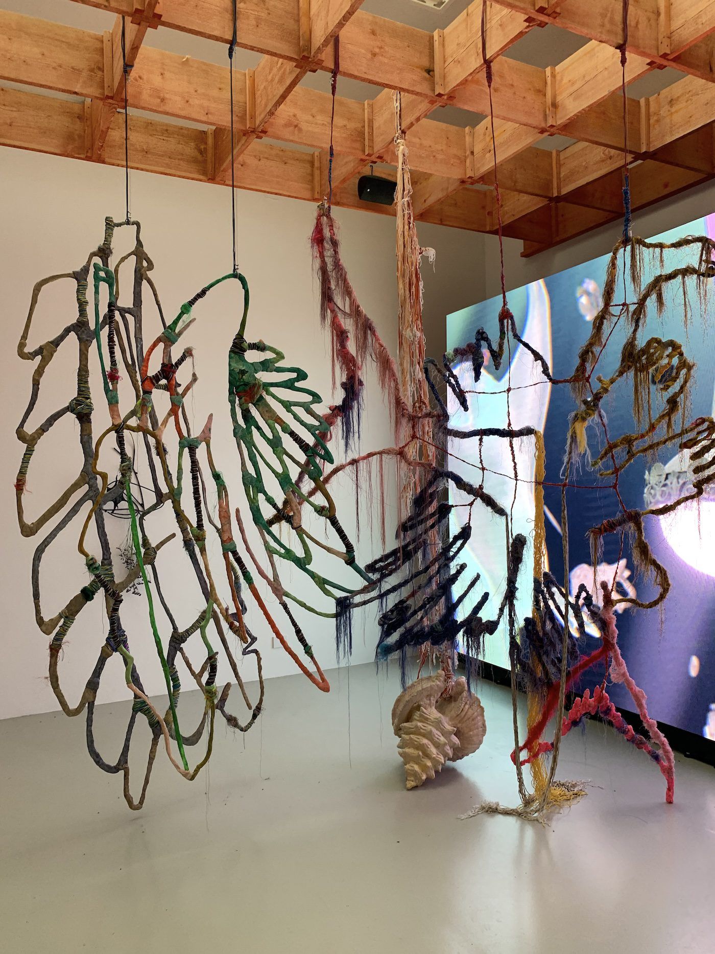 Julien Creuzet. Installation View of National Pavilion of France, 60th Venice Biennale. Photo: C&