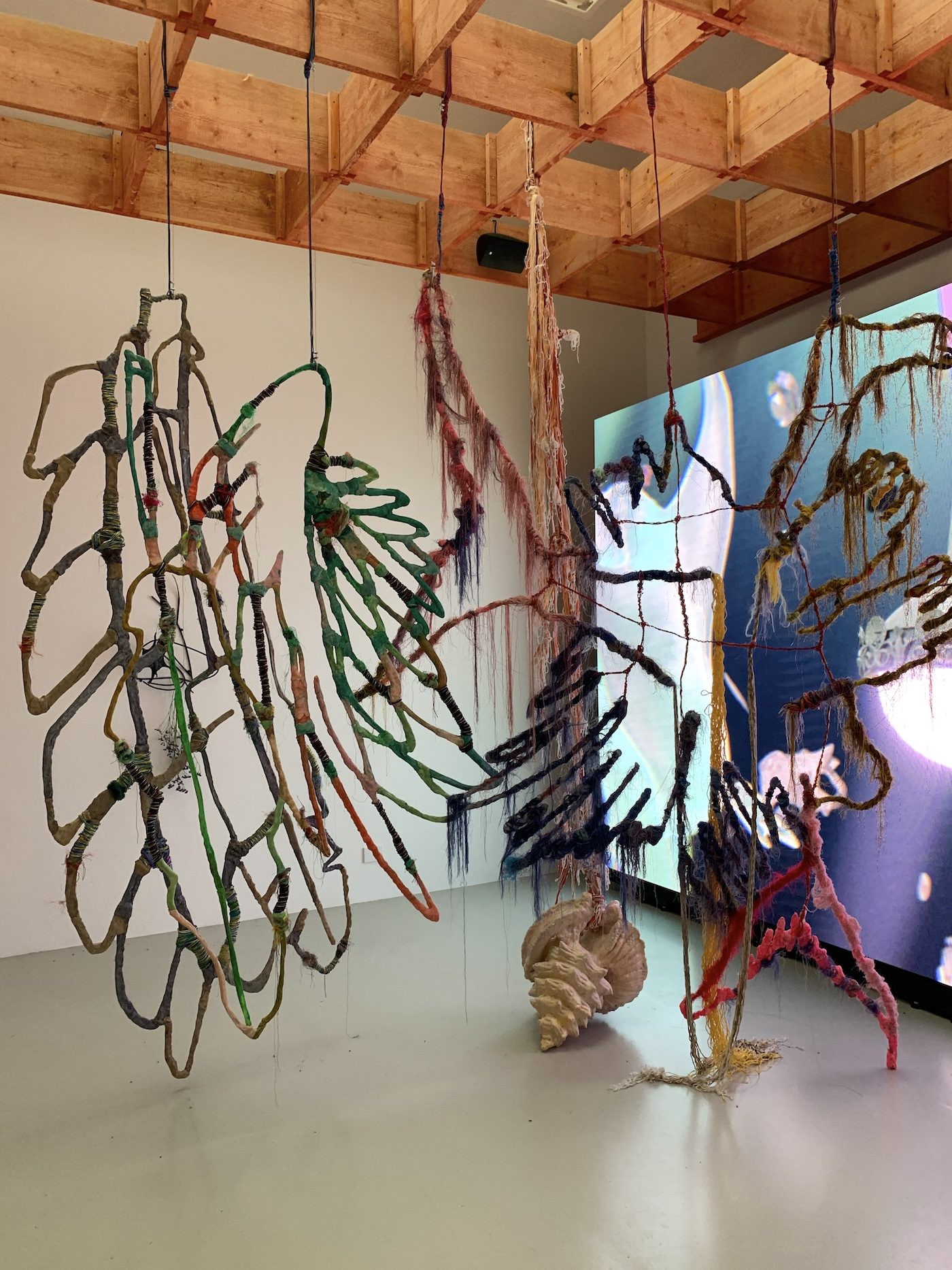 Julien Creuzet. Installation View of National Pavilion of France, 60th Venice Biennale. Photo: C&