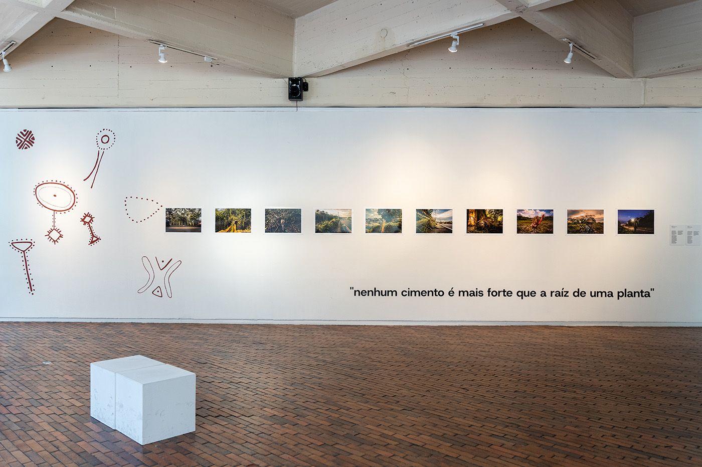 Installation view of Memórias de Alagamento by Uýra, at the Museum of Modern Art in Bogotá. Photo: Juan Yaruro. Courtesy of MAMBO.