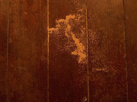 Astrid S. Klein: ›disparaître dans la nature‹ - to decamp, to desert, to evaporate, das Weite suchen, verduften