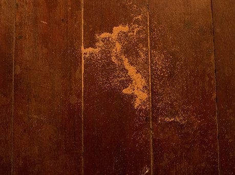 Astrid S. Klein: ›disparaître dans la nature‹ - to decamp, to desert, to evaporate, das Weite suchen, verduften