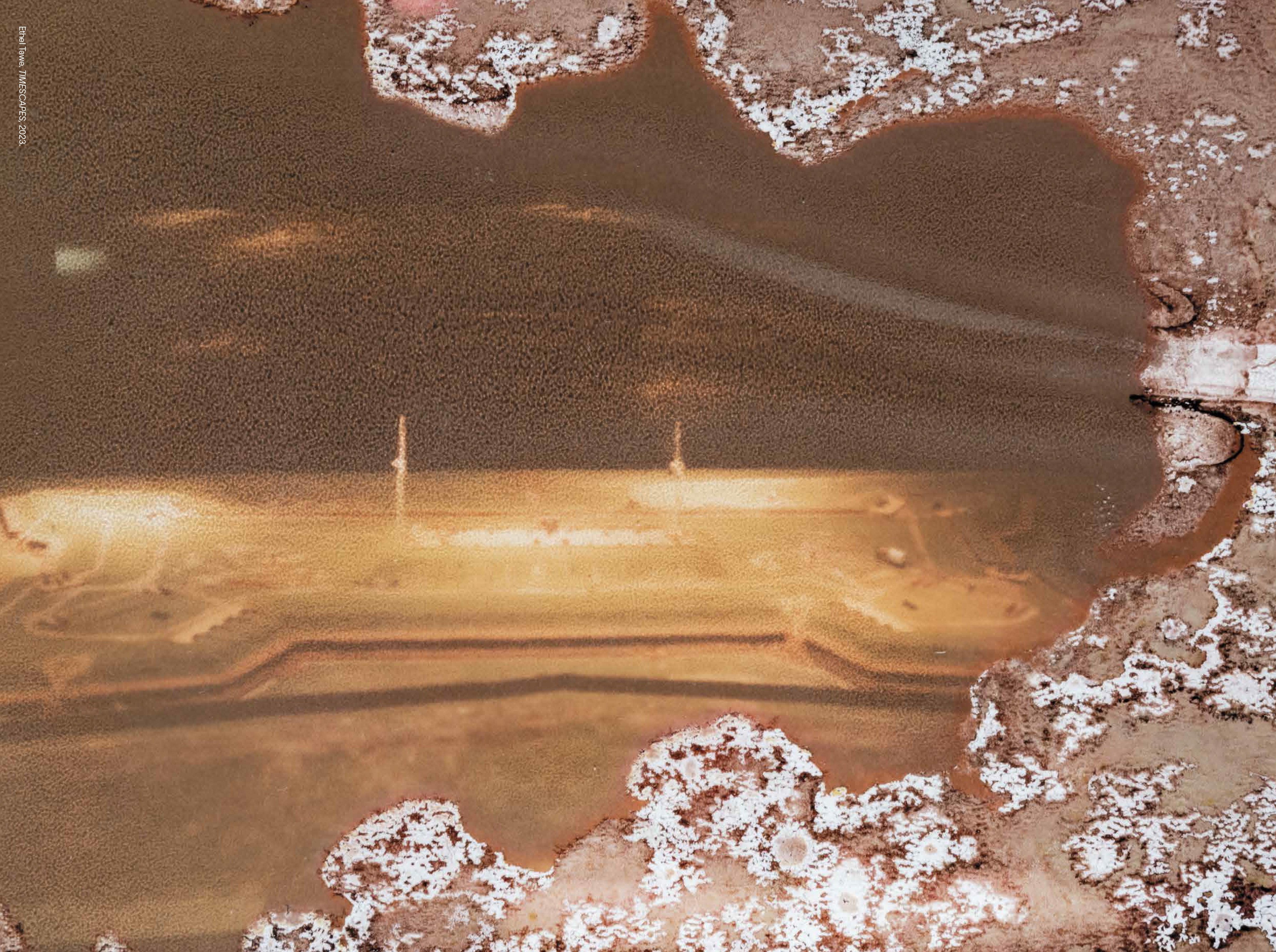 Ecologies: Image Issue